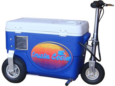 Cooler Scooter 1000w Blue